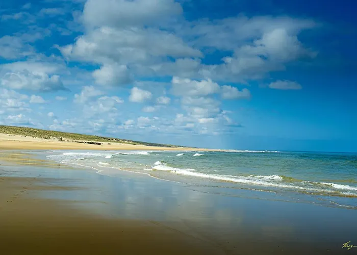 Vk Ocean