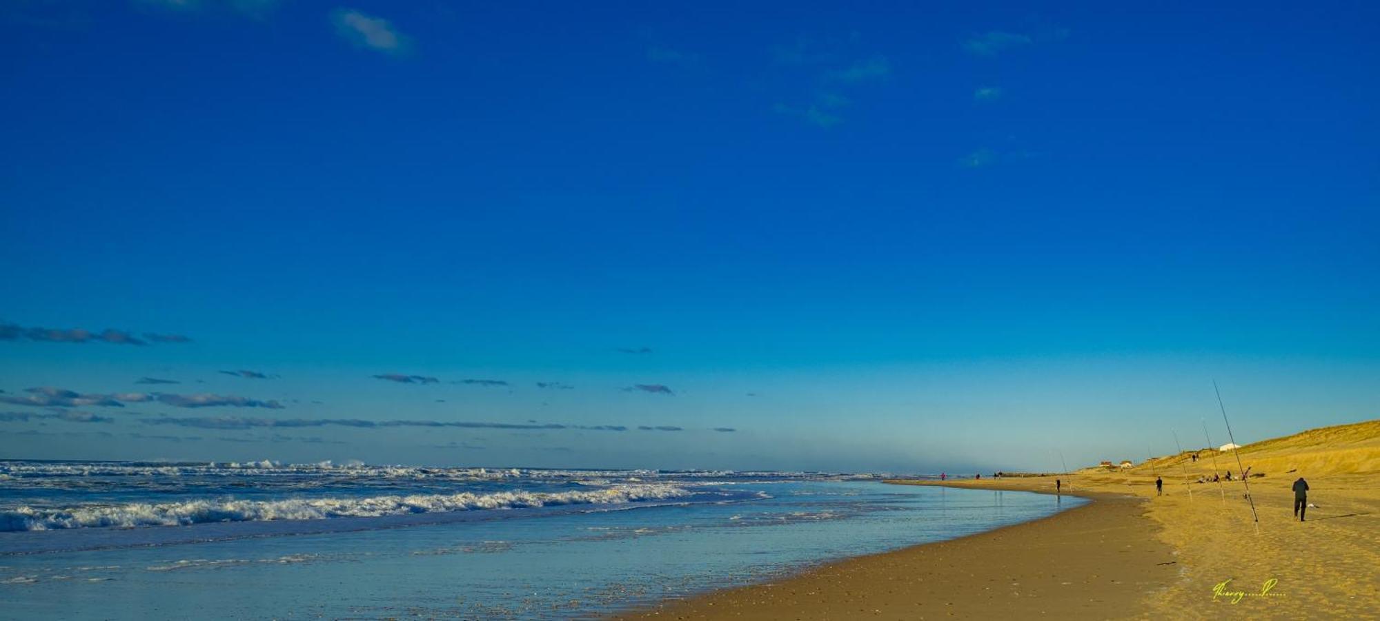 Vk Ocean